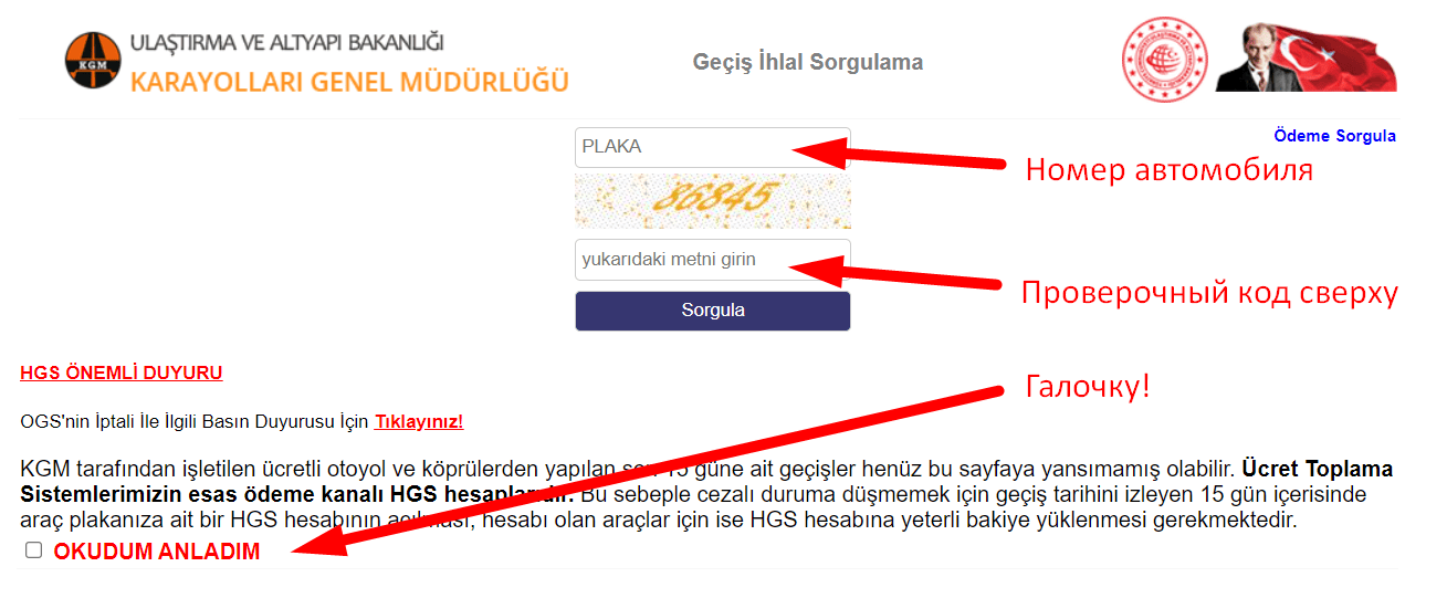 Как проверить плату за проезд платными дорогами и штрафы в Турции