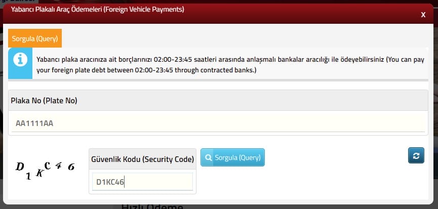Проверка штрафов ПДД в Турции