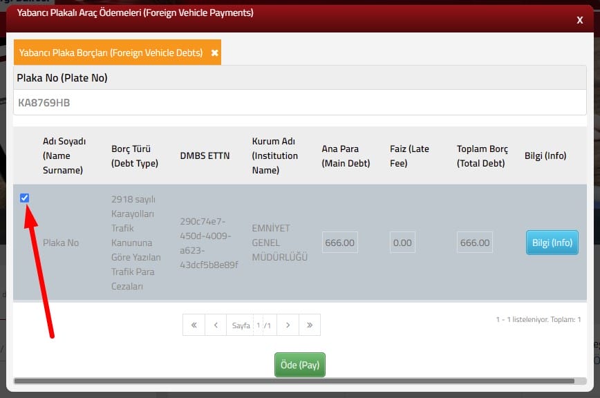 Выбор штрафа ПДД для оплаты в Турции
